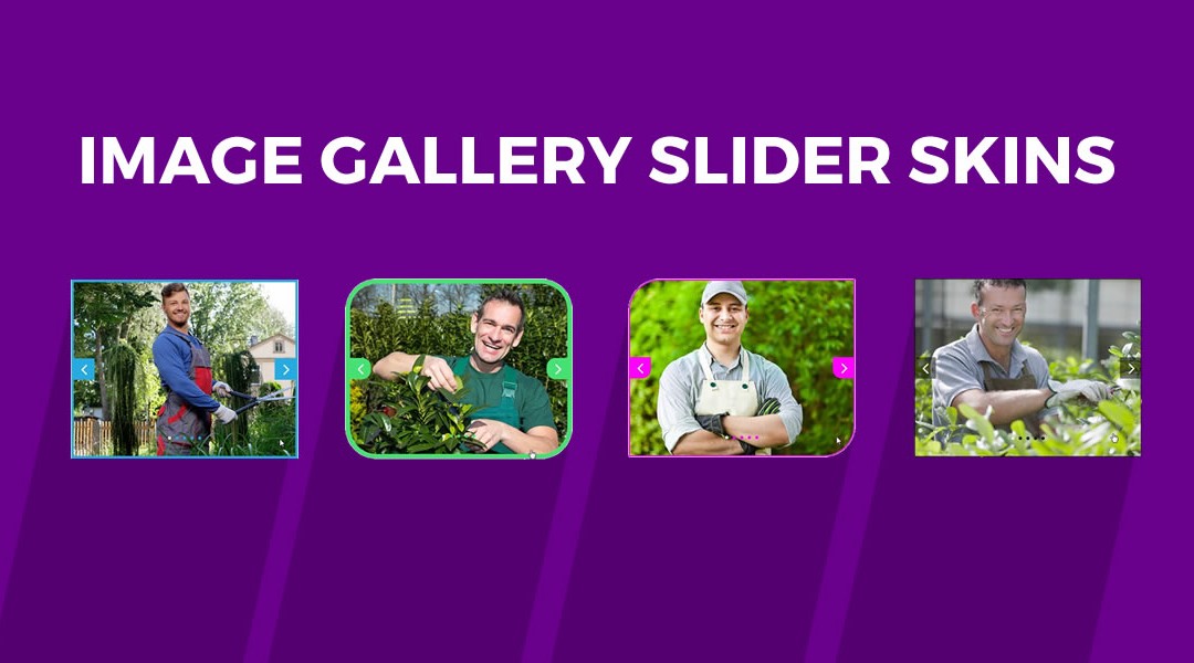 Divi Image Gallery Slider Skins